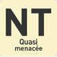 NT