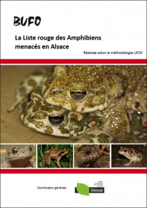 lr_amphibiens